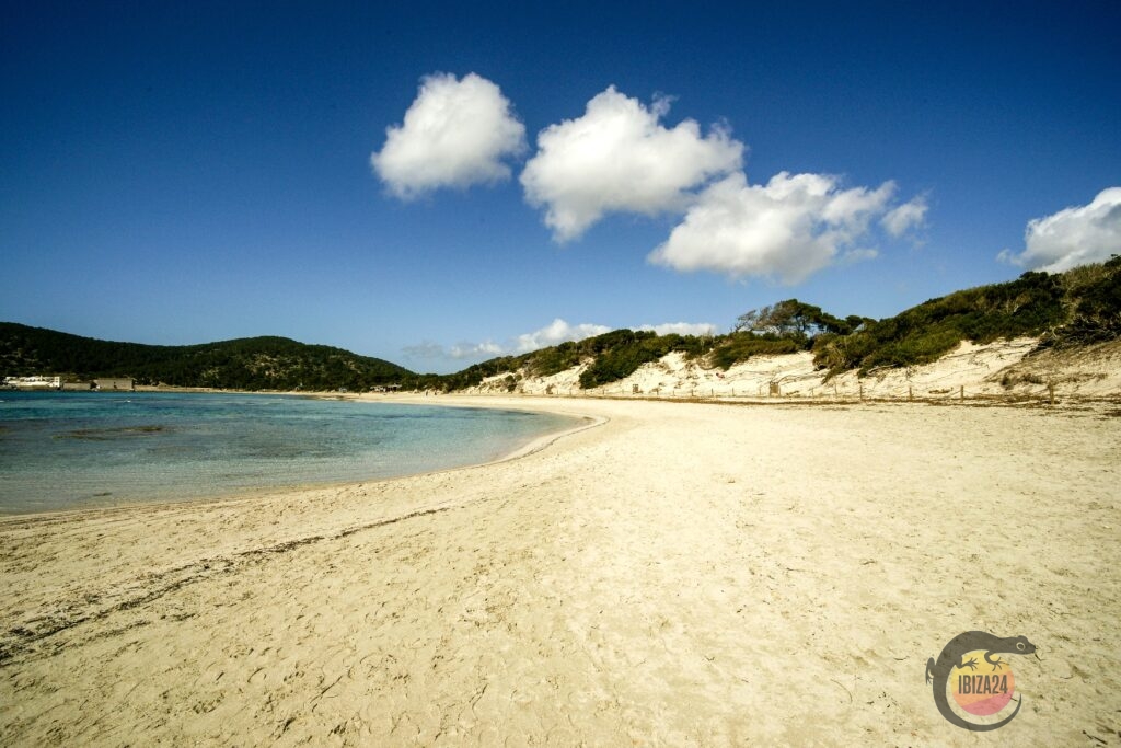 Soft sand and turquoise waves at Ses Salines beach in Ibiza