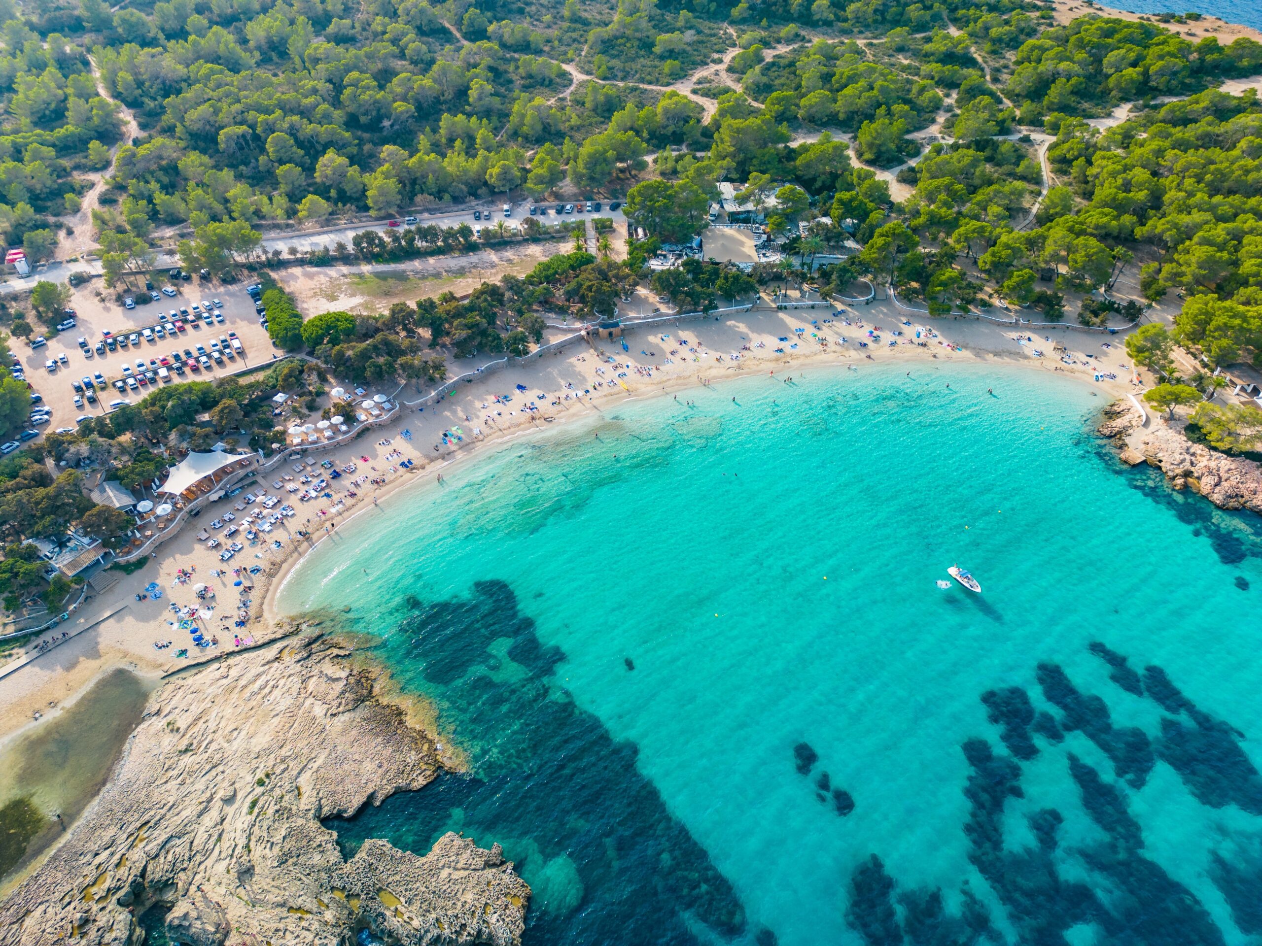 Aerial view of Cala Bassa beach, turquoise sea, and lush forest in Ibiza.