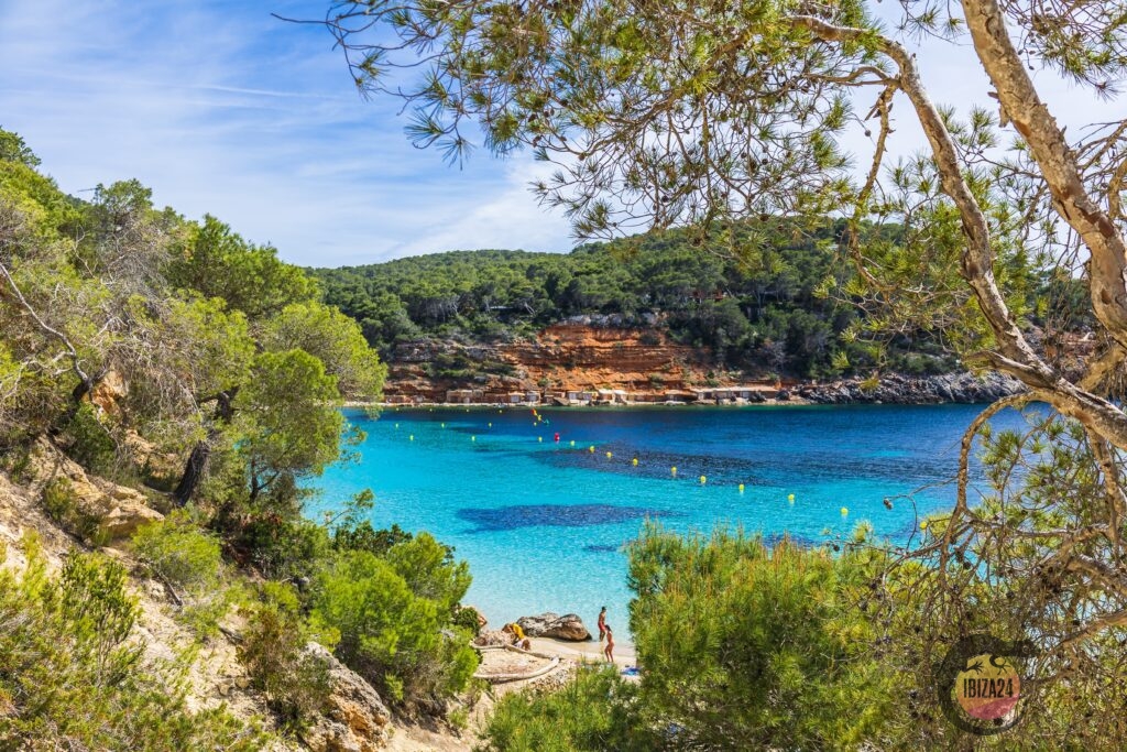 Crystal-clear blue sea at Cala Salada Beach, Ibiza.